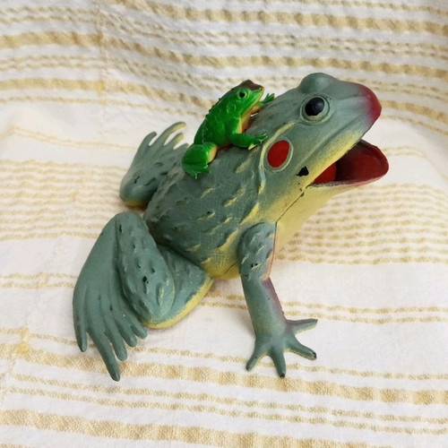 Frog toy used with sound