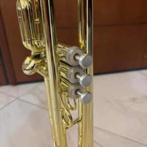 pTrumpet HyTech trumpet used, gold color with hard case and mouthpiece