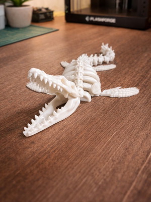 3D printed skeleton crocodile new, articulated and movable