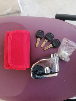 Disc brake lock with alarm used