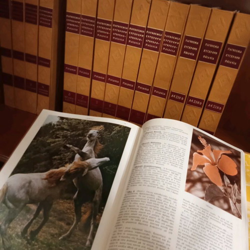Paideia encyclopedia used, 15 volumes, Malliaris publishing