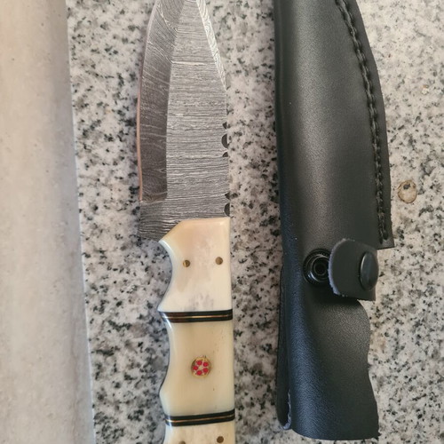 Hunting knife camel bone handle new