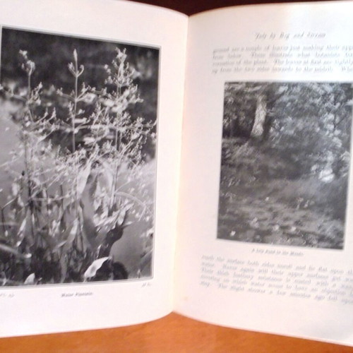 Wild Flowers Month by Month in Their Natural Haunts used, two volumes