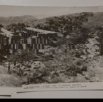  Καρτ ποστάλ "ΑΝΔΡΙΤΣΑΙΝΑ. Β. ΑΠΟΨΗ ΝΑΟΥ ΤΟΥ ΕΠΙΚΟΥΡΙΟΥ ΑΠΟΛΛΩΝΟΣ", ασπρόμαυρο.