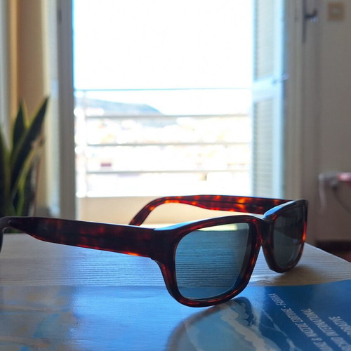 Scorpion Tortoise Sunglasses like new, brown multicolor