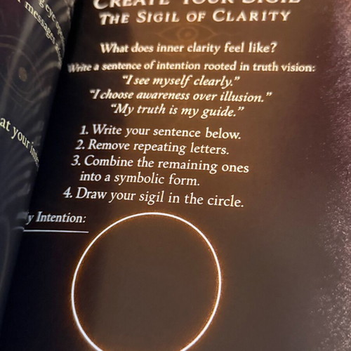 The Witch’s Shadow Lab Dark Inner Alchemy Workbook like new