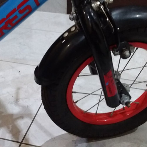 Everest 12 Kids Bicycle like new, V-Brakes, male
