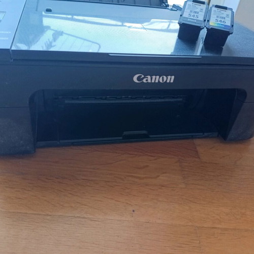 Canon printer used with two almost new ink cartridges