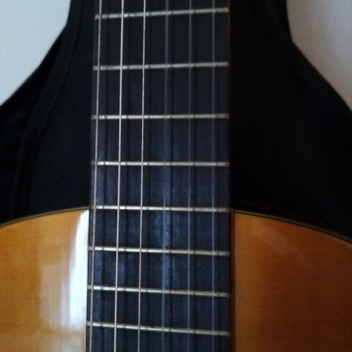 Classical guitar Ariana used with case