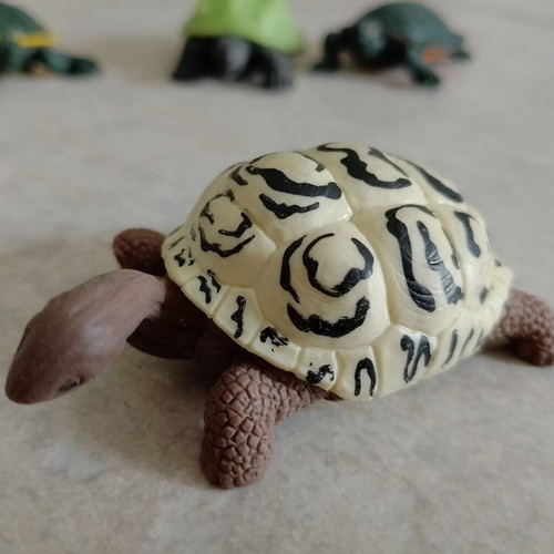 Plastic turtle figures used, set of 5