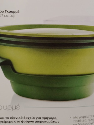 Micro Gourmet new, container for healthy microwave cooking