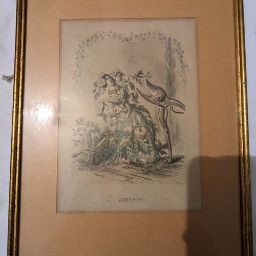 Set of 4 flower engravings like new