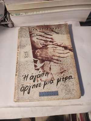 Λιλή Ζωγράφου Η αγάπη άργησε μια μέρα μυθιστόρημα