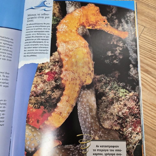 Animals That Need Our Protection, Savvalas Editions