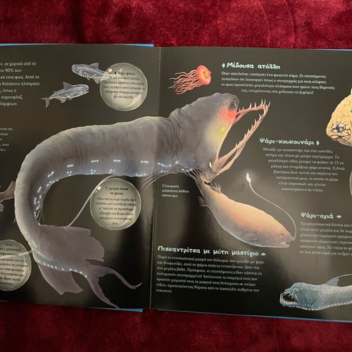 Book "Kaleidoscope: Seas" like new from Patakis Editions