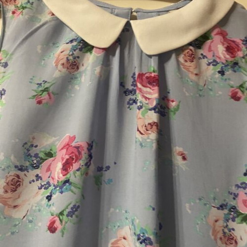 Stradivarius Sleeveless Floral Blouse with White Peter Pan Collar Size S like new
