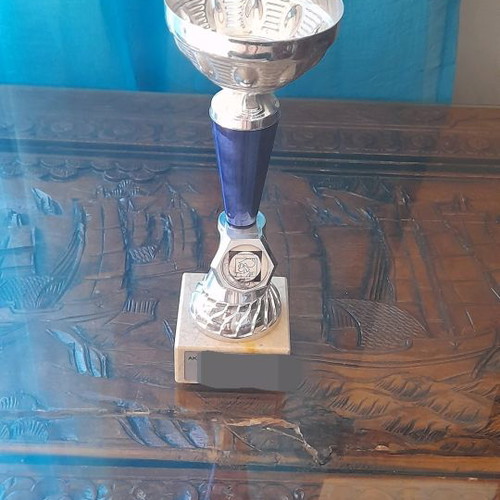 Trophies used, height 25 cm and 23 cm