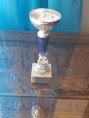 Trophies used, height 25 cm and 23 cm