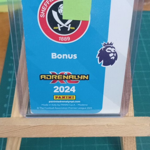 Panini Adrenalyn XL Premier League 2024 card like new, Sheffield United #298