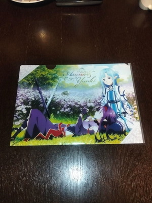 A4 anime folder like new
