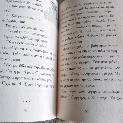 The Ghost of the Carousel book like new
