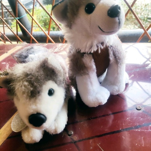Plush dogs like new, set of 2