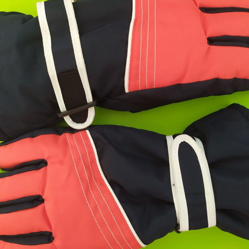Ski gloves new
