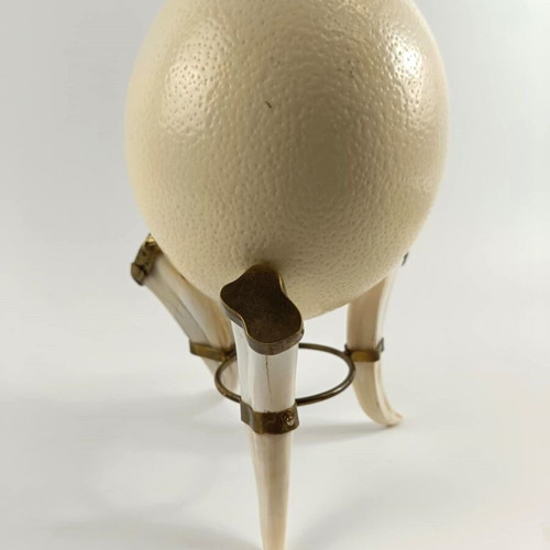Tripod base used from fakocheros teeth with ostrich egg