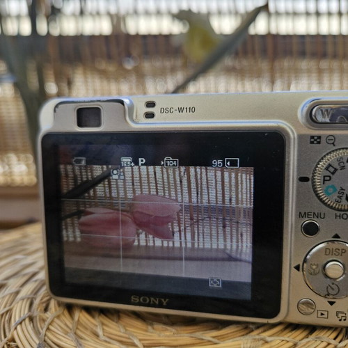 Sony Cyber-shot DSC-W110 7.2 MP Compact Digital Camera