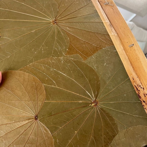 Photo album used with recycled paper, wood and natural leaf