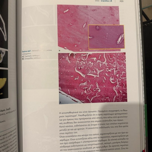 Radiodiagnosis in Oral and Maxillofacial Pathology new