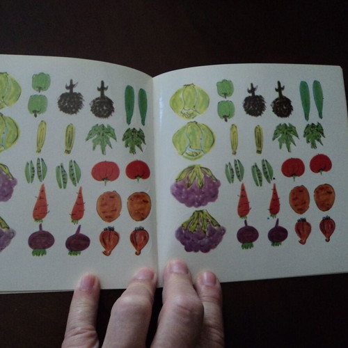 Evgenia Fakinou Lachanika used, 1986 edition with stickers 44 pages