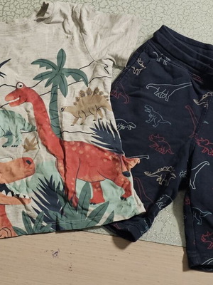 Children's dinosaur set like new for boys 5-6 years old