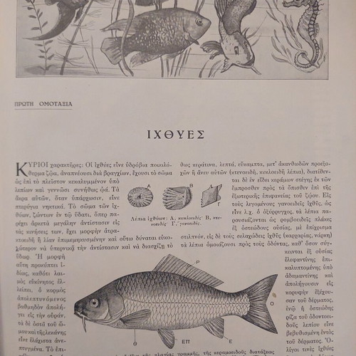 O Bios ton Zoon book used, Eleftheroudakis edition 1932