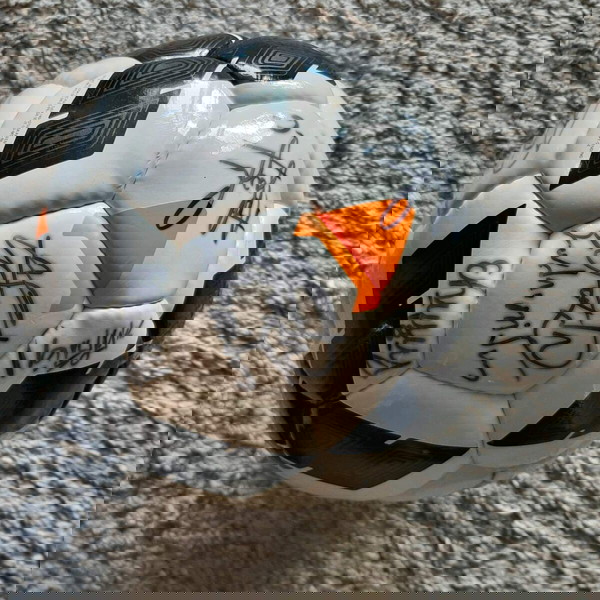 Συλλεκτική μπάλα Nike υπογεγραμμένη απο παίκτες του ΠΑΟΚ