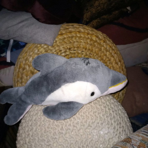 Plush dolphin new, can be used as a pillow