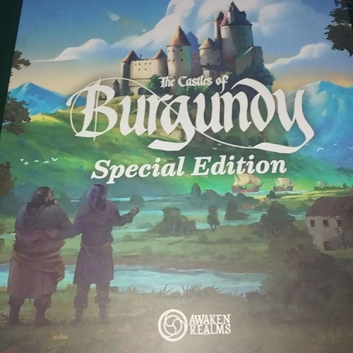 Castles Of Burgundy Special Edition 3D printed insert custom order