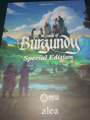 Castles Of Burgundy Special Edition 3D printed insert custom order