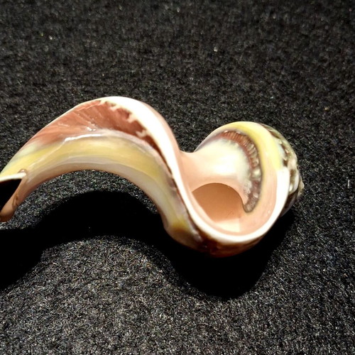 Onyx Bowl and Natural Shell Caviar Spoon Set new, vintage handmade