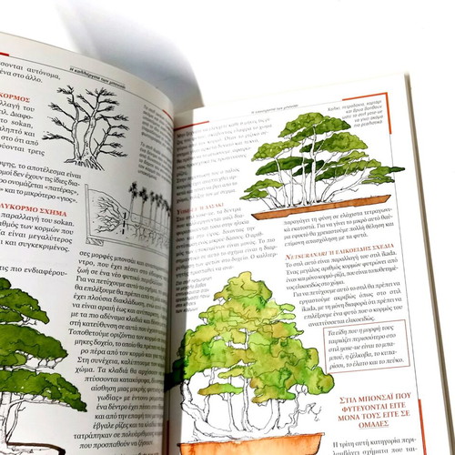 The Cultivation of Bonsai like new, techniques and care guide