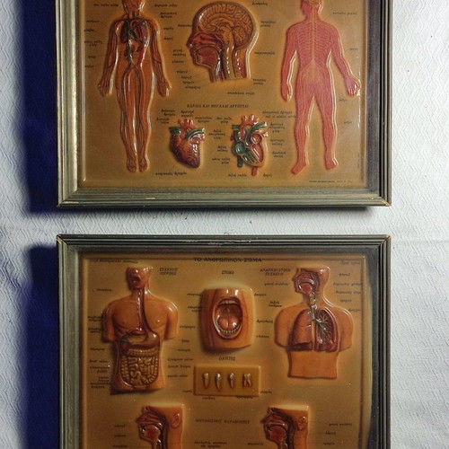 Celluloid The Human Body used in frame