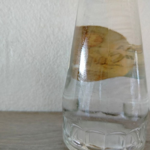 Sariza soda bottle sealed, used, from 60s-70s era