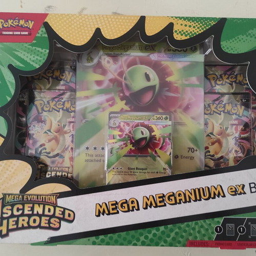 Pokemon Cards Ascended Heroes sealed boxes Mega Feraligatr x2 Mega Meganium