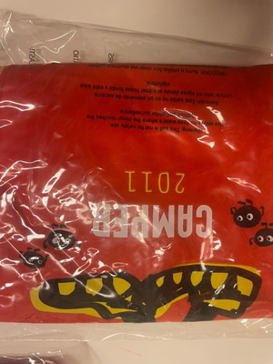 Camper inflatable beach balls new