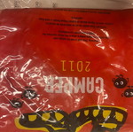Camper inflatable beach balls new