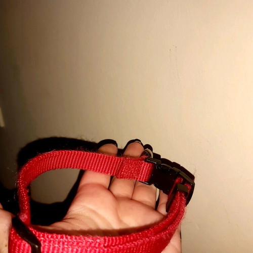 Small dog collar new, red