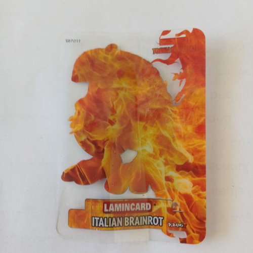 Italian Brainrot Pippi Poppa Pippo Peppe card used, good condition