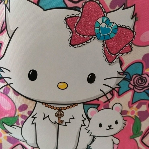 Charmmykitty kindergarten trolley bag like new
