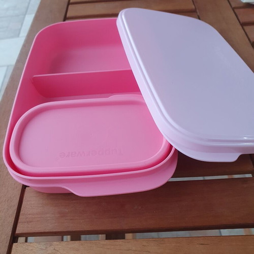 Tupperware food container with compartments and mini container