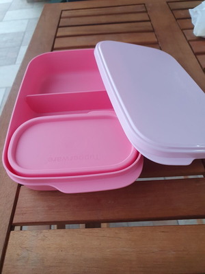 Tupperware food container with compartments and mini container